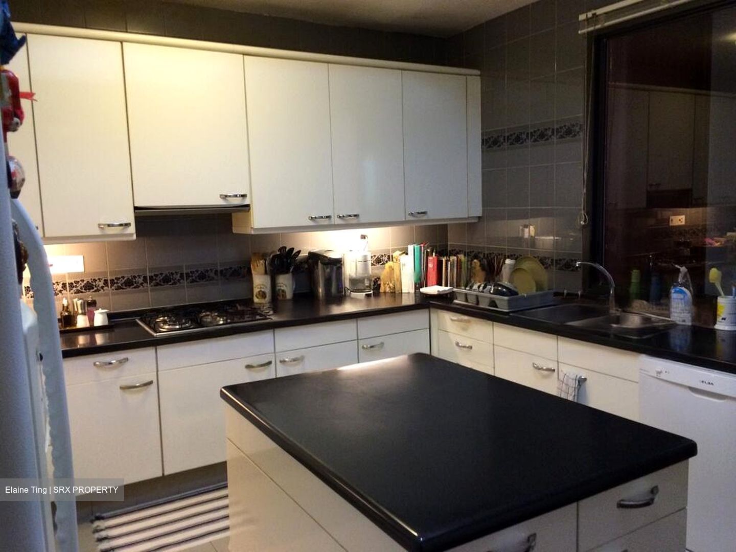 Four Seasons Park (D10), Condominium #549386611